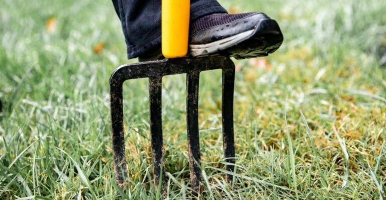 The One Task Ohio Lawns Need In September Or Fall Weeds Take Over By October