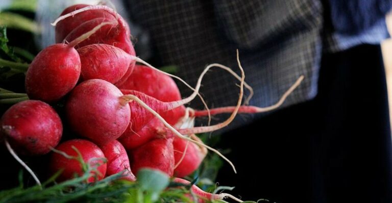 The Florida Fall Vegetable That Can Go From Seed To Harvest Before Almost Everything Else