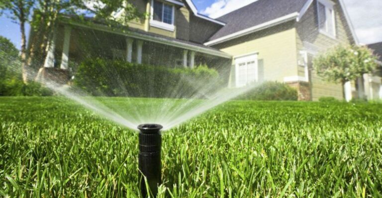 The September Lawn Watering Mistake That Keeps California Grass Weak Into Fall