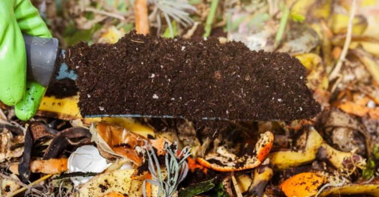 8 Virginia Compost Additions That Help Fall Piles Break Down Faster