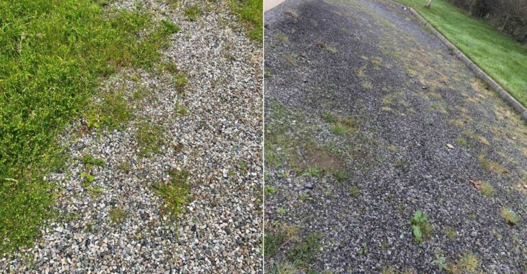 The Oregon Gravel Driveway Weed Problem That Gets Worse After Fall Rain