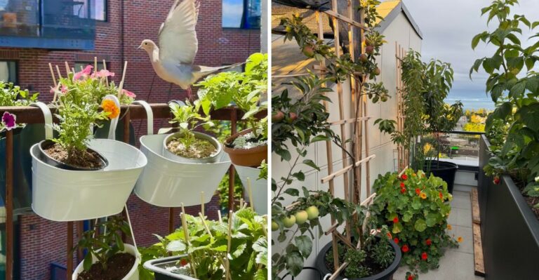 9 Rooftop Garden Tasks Every NYC Balcony Grower Should Finish By Sunday