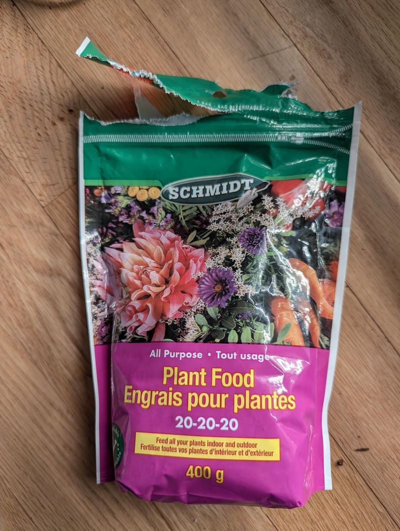 A Balanced Fertilizer Like 20-20-20 Works Well A Balanced Fertilizer Like 20-20-20 Works Well