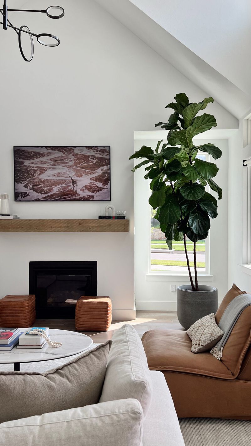 A Bold Focal Point For Any Design Style A Bold Focal Point For Any Design Style