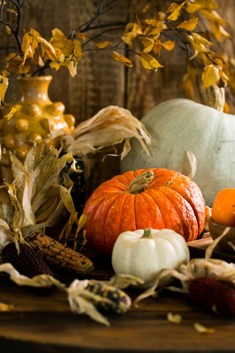 A Bowl Of Mini Pumpkins, Gourds And Indian Corn
