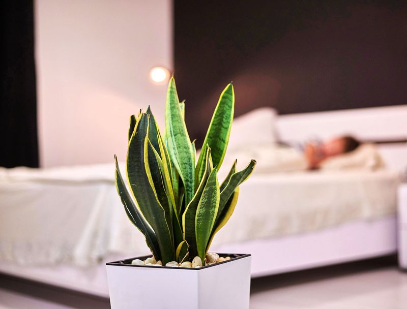 A Calm Green Escape From New York Noise