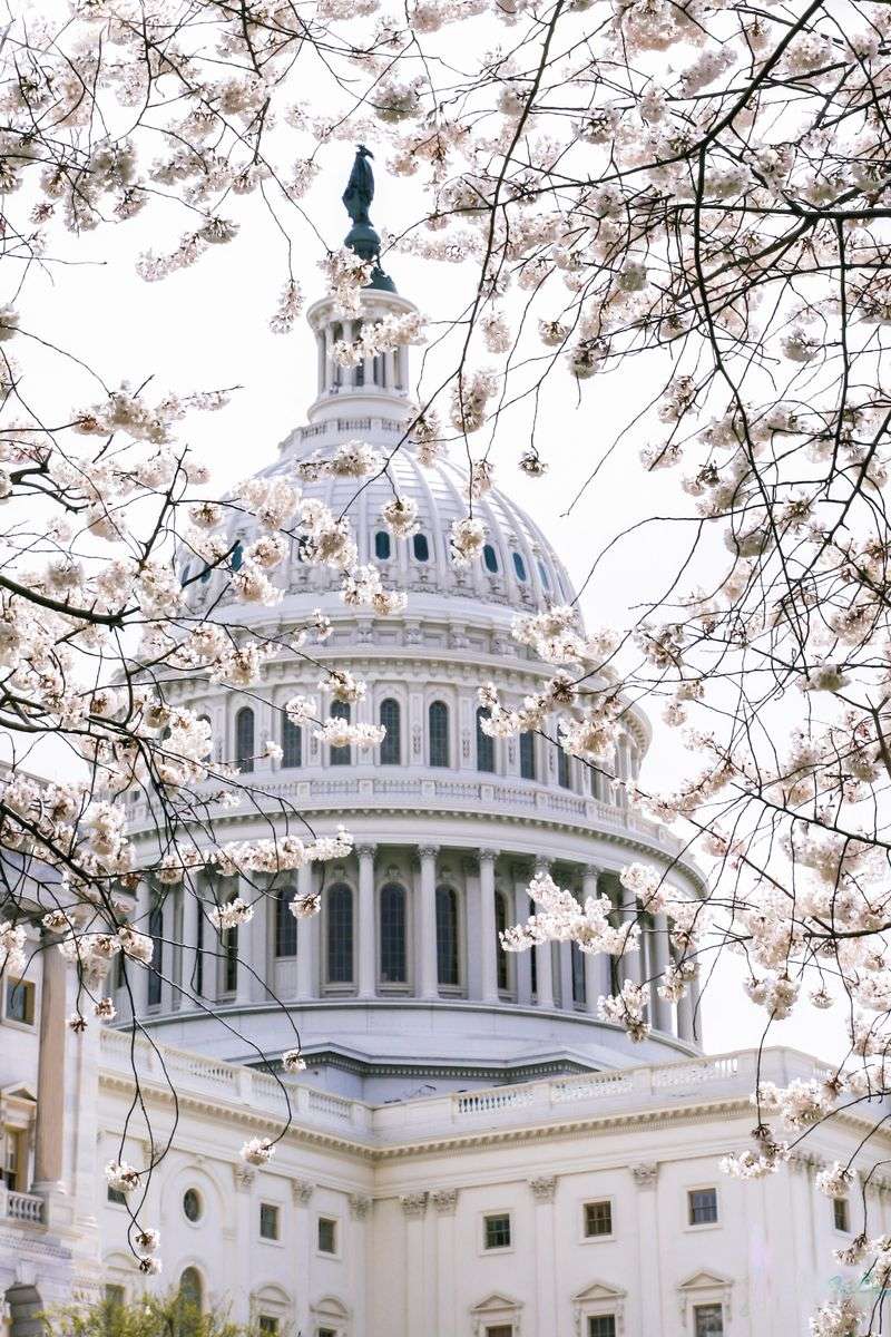 A Calmer Spring For The Capital City