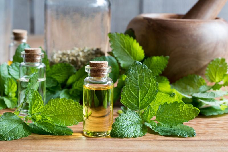 A Calming Scent For Busy Lives