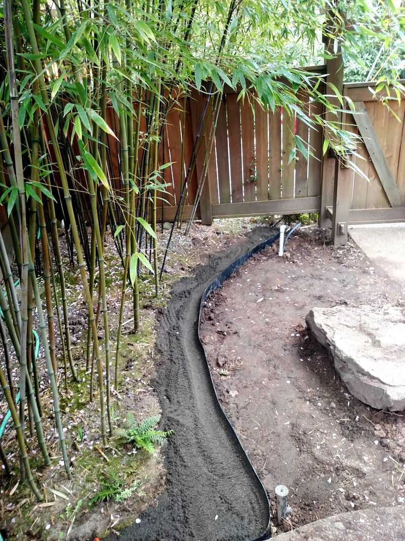 A Deep Plastic Barrier Can Deflect Rhizomes Before The Line