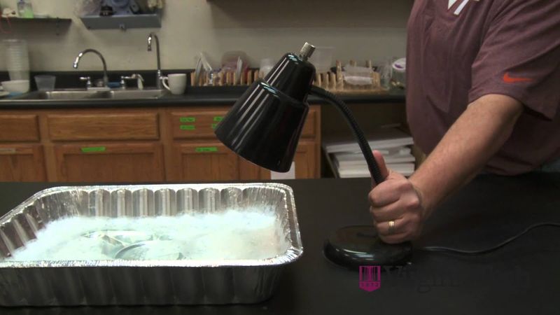 A Desk Lamp Pointed Into The Pan Is The Lure