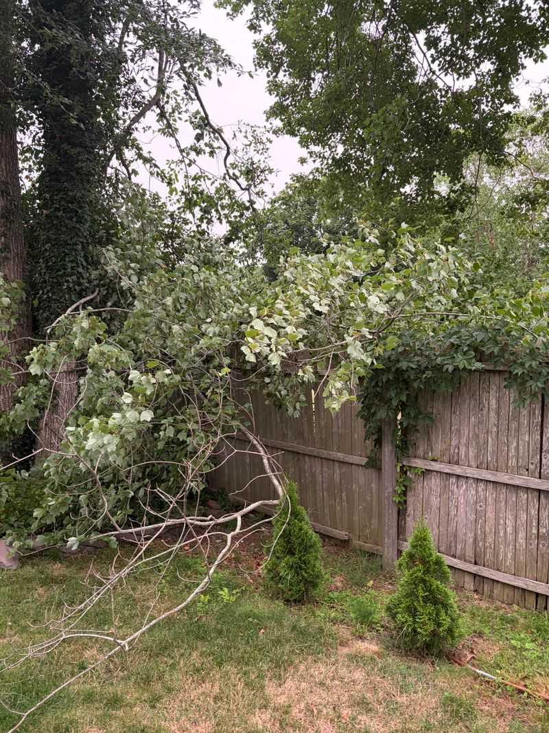 A Deteriorating Tree Can Change Who's Responsible