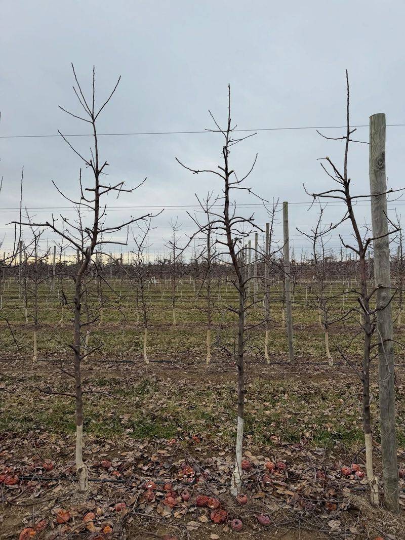 A Drier Winter May Be On The Way A Drier Winter May Be On The Way
