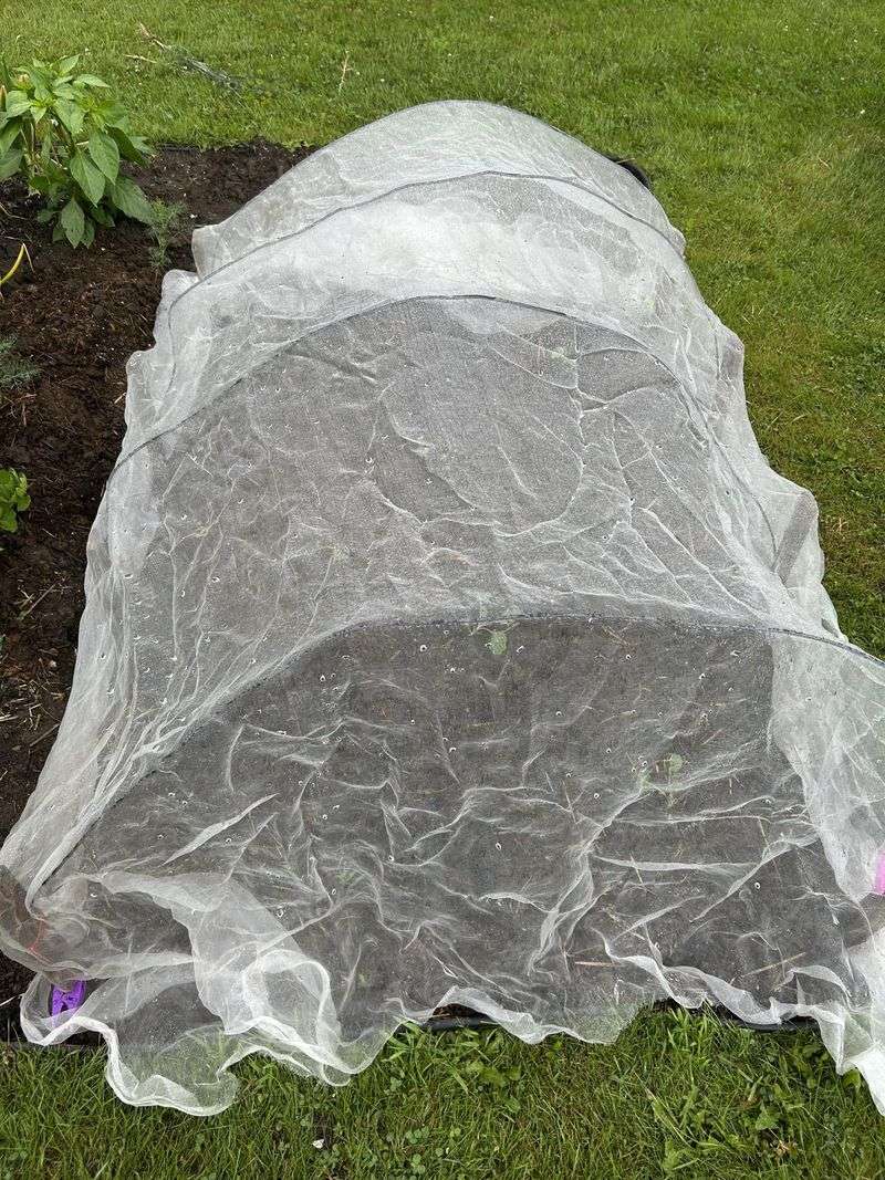 A Few Simple Covers Can Stretch Your Season