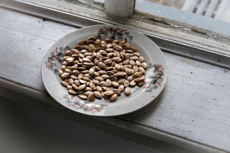 A Few Weeks On A Drying Screen Keeps Pumpkin Seeds Mold Free