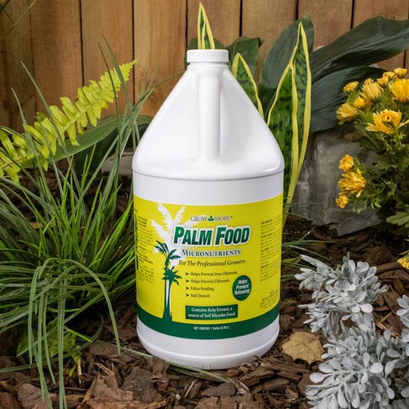 A Final Feeding With Palm Fertilizer A Final Feeding With Palm Fertilizer