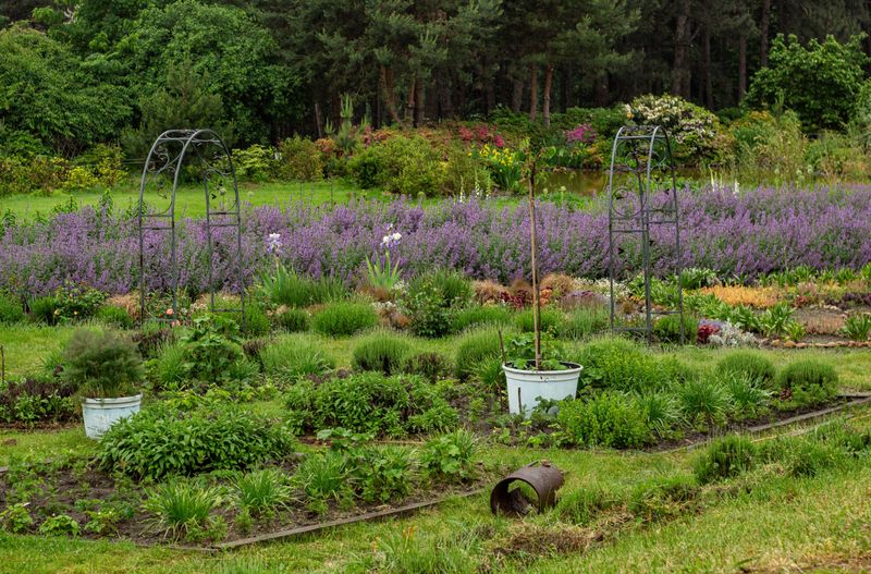 A Garden Ready For Hundreds Of Tiny Hunters A Garden Ready For Hundreds Of Tiny Hunters
