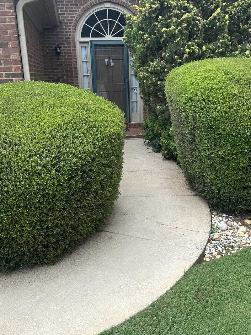 A Greener Hedge By Next April