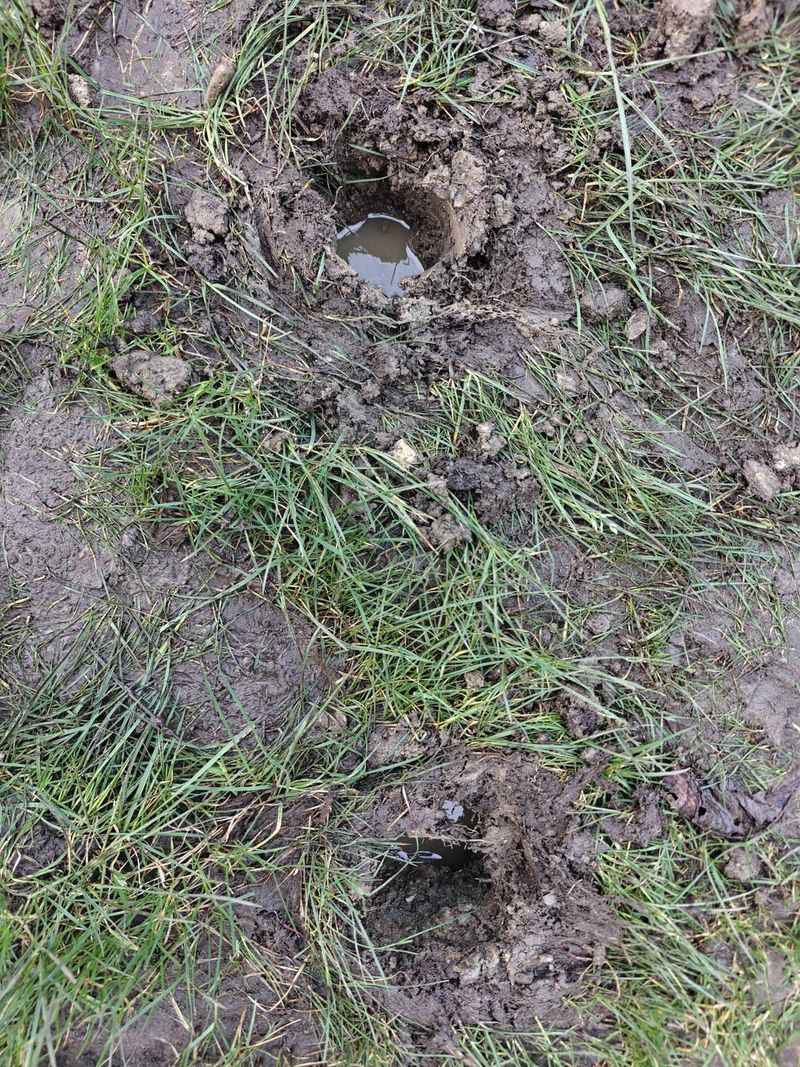 A High Water Table Fills Soil From Below A High Water Table Fills Soil From Below