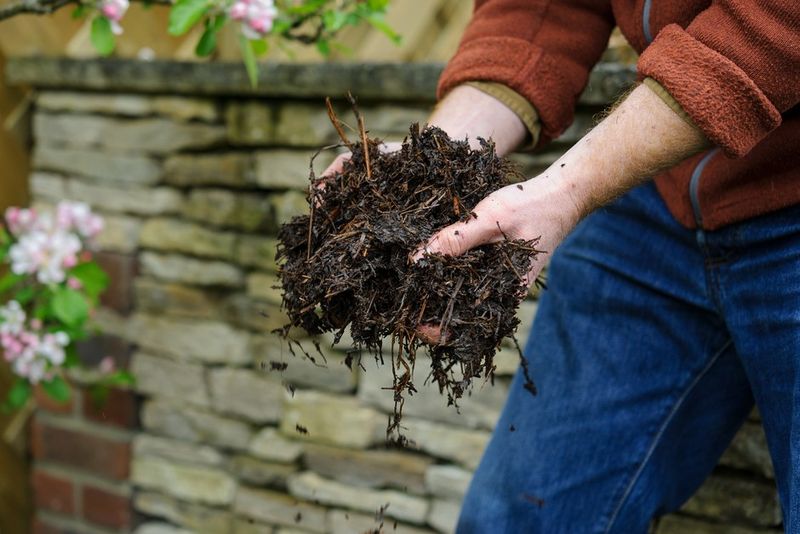 A Layer Of Compost Adds Organic Matter Without Turning The Soil A Layer Of Compost Adds Organic Matter Without Turning The Soil