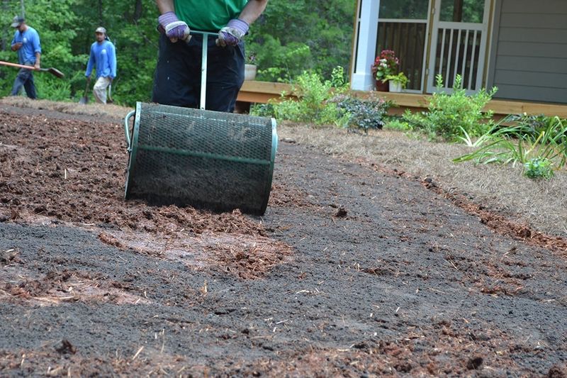 A Light Mulch Keeps Seed From Washing Away A Light Mulch Keeps Seed From Washing Away