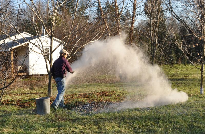 A Light Topdressing For Acidic Lawn Patches A Light Topdressing For Acidic Lawn Patches
