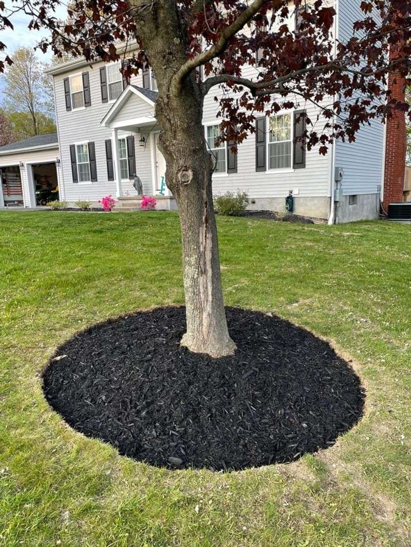 A Little Yearly Care Keeps Grass Away