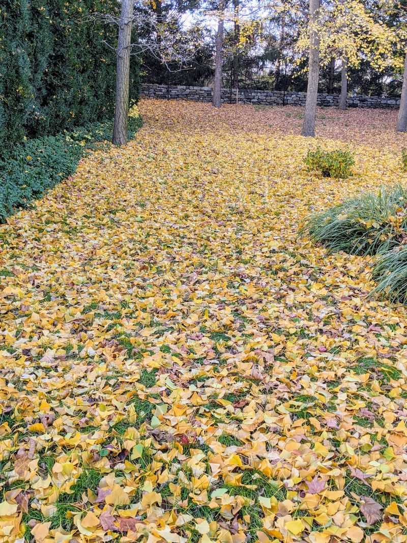 A Mild October Can Push The Drop Later