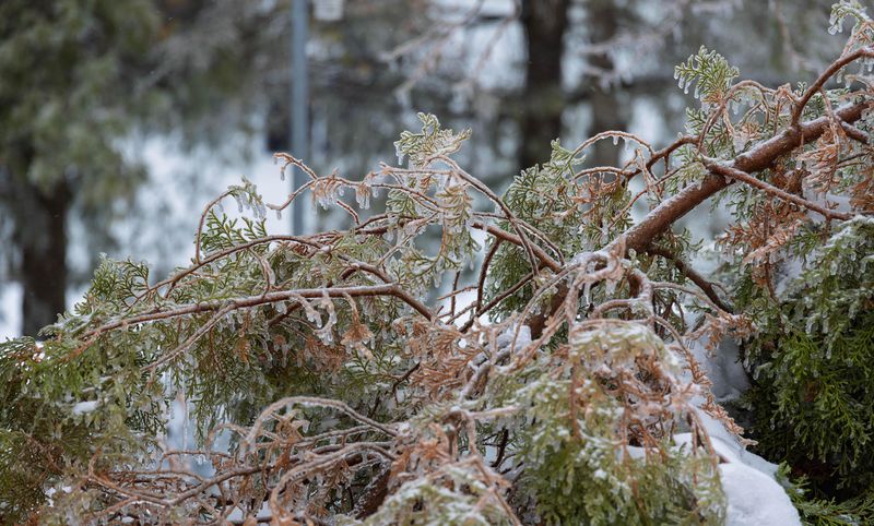 A Mild Pattern Doesn’t Rule Out A Big Storm