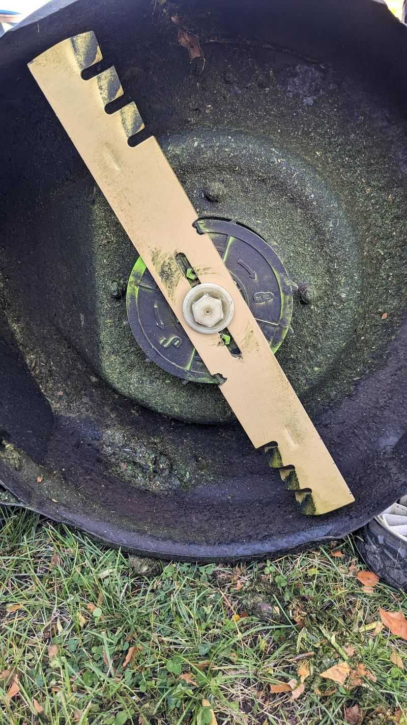 A Mulching Blade Does The Chopping A Mulching Blade Does The Chopping