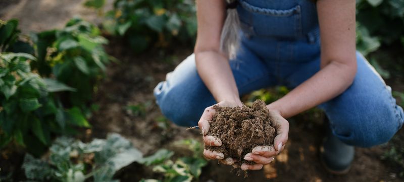 A Mushroom Is Not a Soil Test