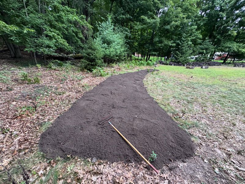 A Patient Plan To Weaken The Roots A Patient Plan To Weaken The Roots