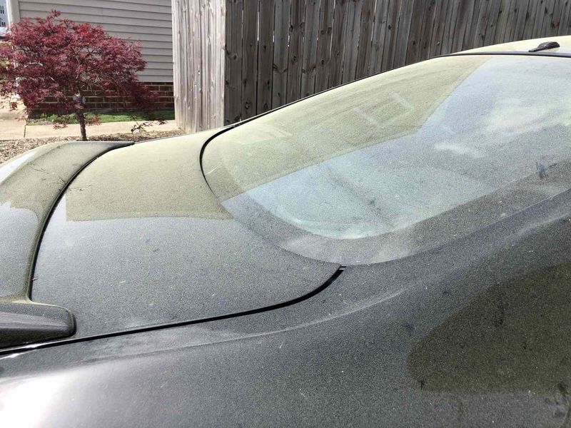 A Quick Rinse Clears Pollen From Cars Decks And Patio Furniture A Quick Rinse Clears Pollen From Cars Decks And Patio Furniture