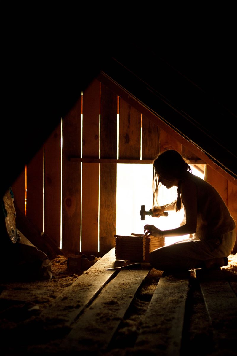 A Quiet Attic And Smart Prevention For Next Year A Quiet Attic And Smart Prevention For Next Year