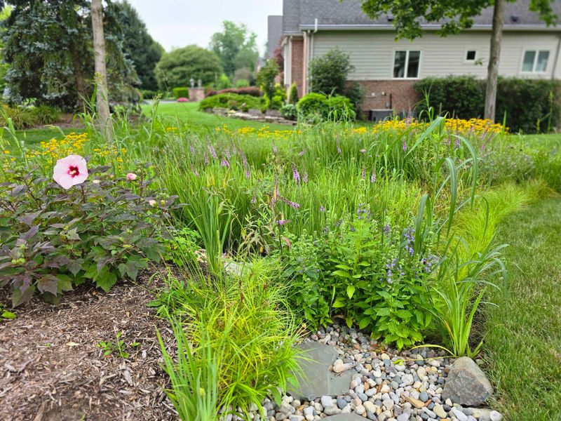 A Rain Garden Can Turn The Puddle Into A Feature