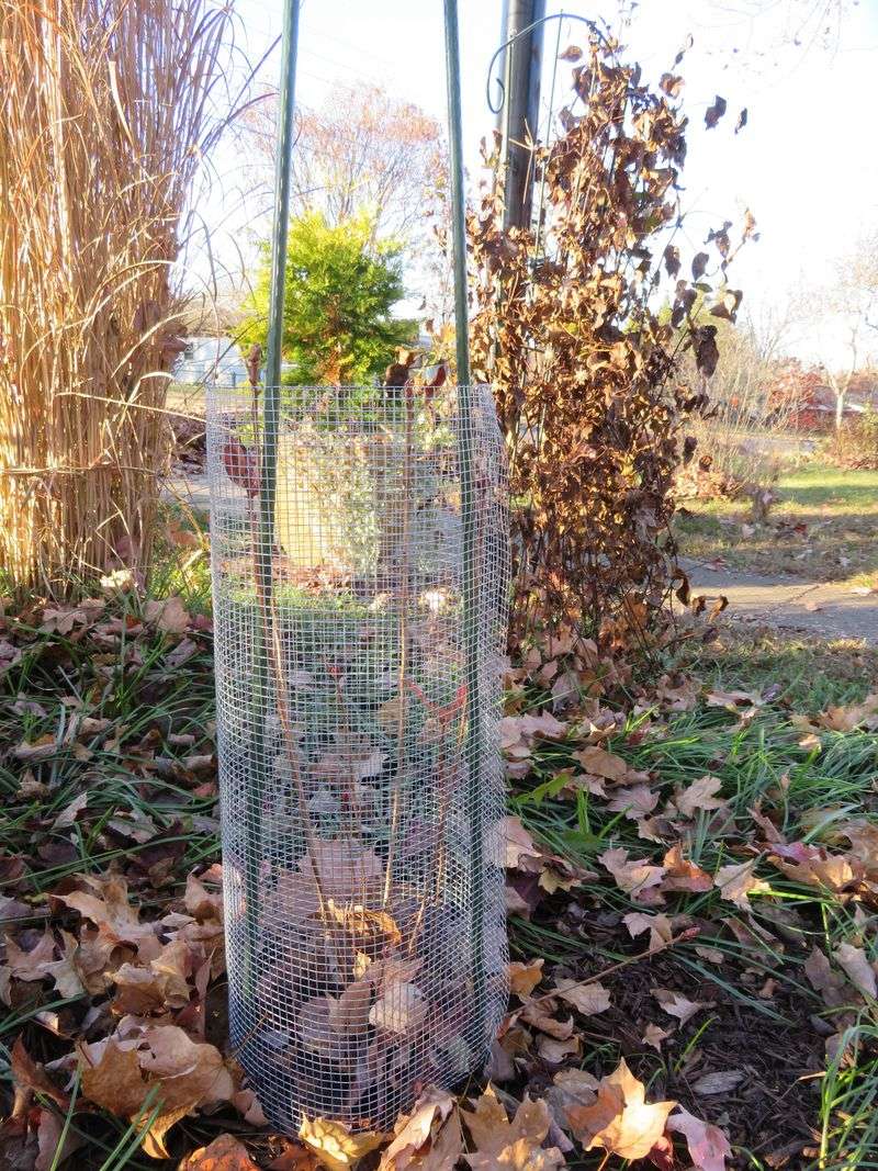 A Rodent Guard Around The Base