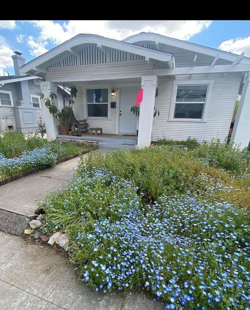 A Rule Built For Planned Gardens