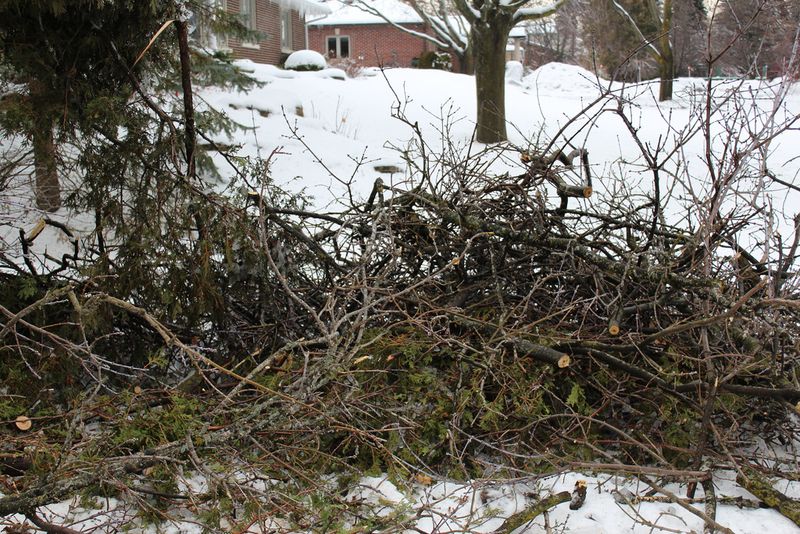 A Safe Distance From Your Home's Foundation