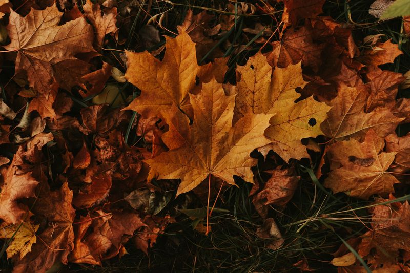 A Seasonal Rhythm That Starts In October