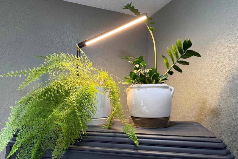 A Simple LED Grow Light Turns Any Room Into A Plant Haven