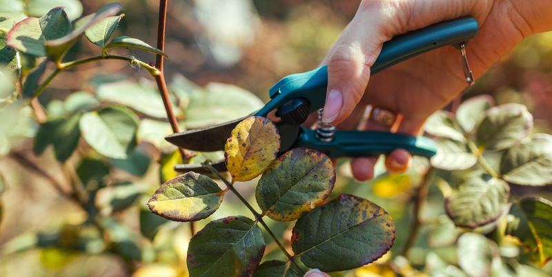 A Simple October Cleanup Makes A Big Difference