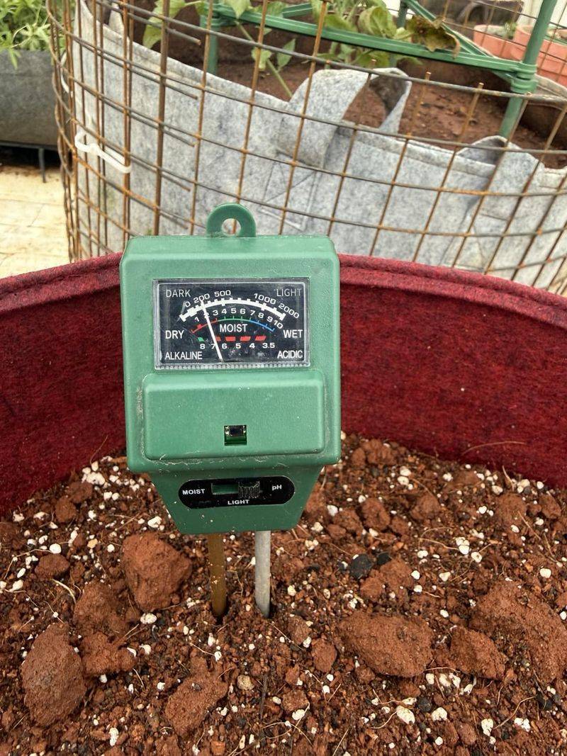 A Simple Soil Test Shows Whether Any Change Is Needed