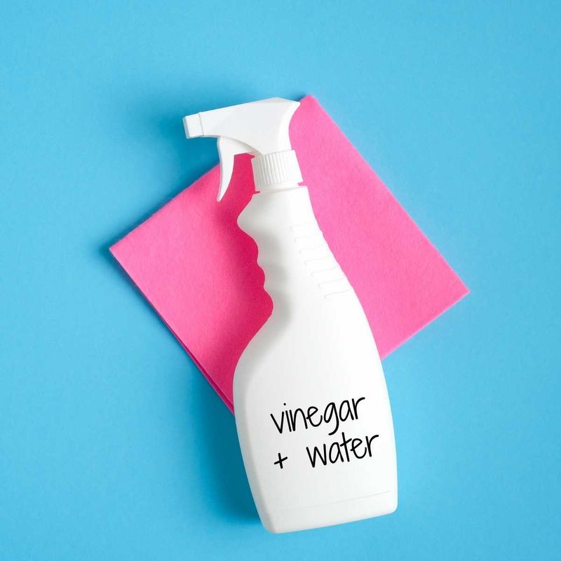 A Simple Vinegar Spray Recipe A Simple Vinegar Spray Recipe