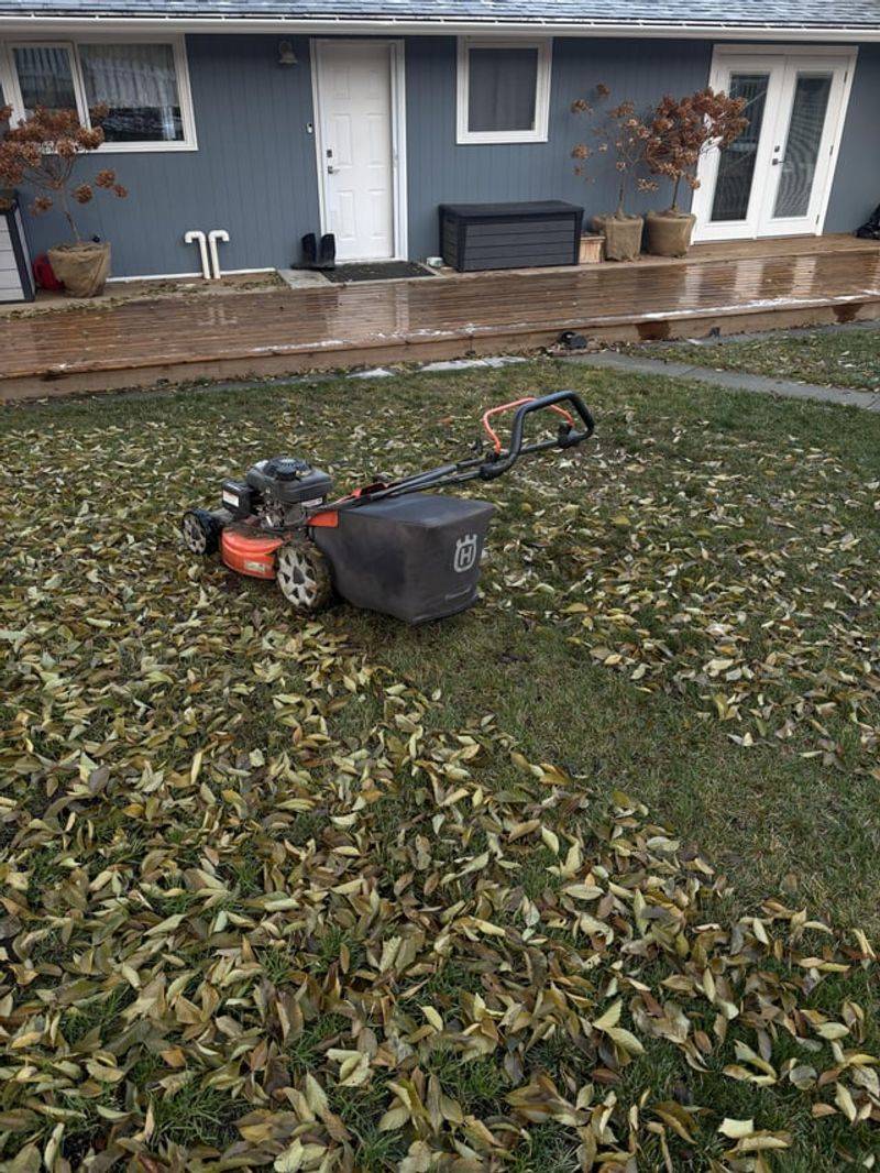 A Single Mower Pass Turns Leaves Into Natural Mulch