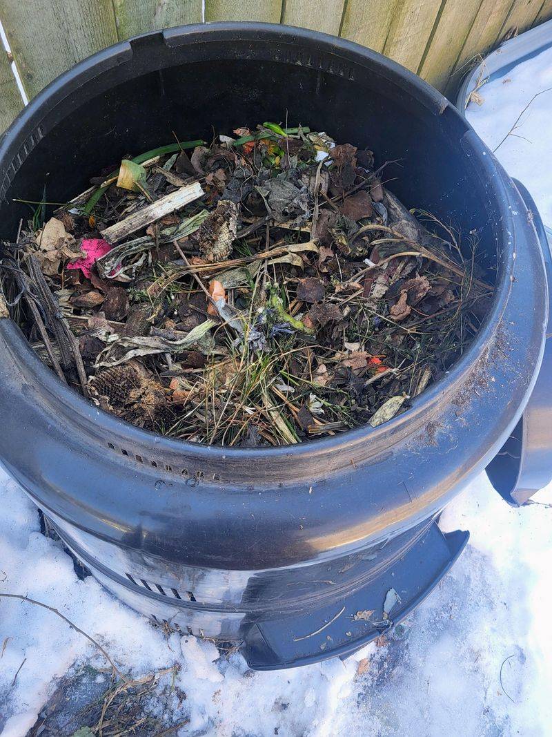 A Slower Process Through Cold Indiana Winters