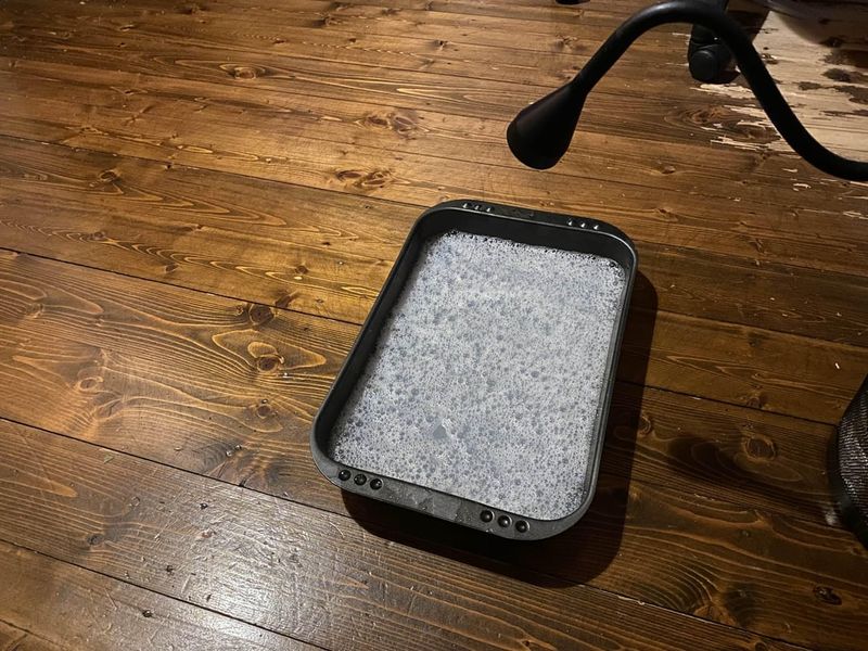 A Small Lamp Over The Pan Lures Them After Dark