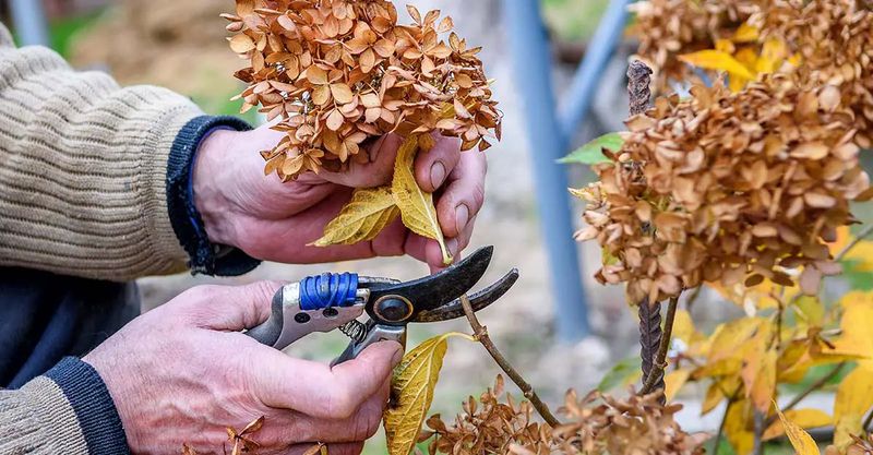 A Smarter Fall Cleanup Routine