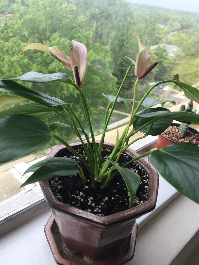 A Smarter Fall Watering Routine A Smarter Fall Watering Routine