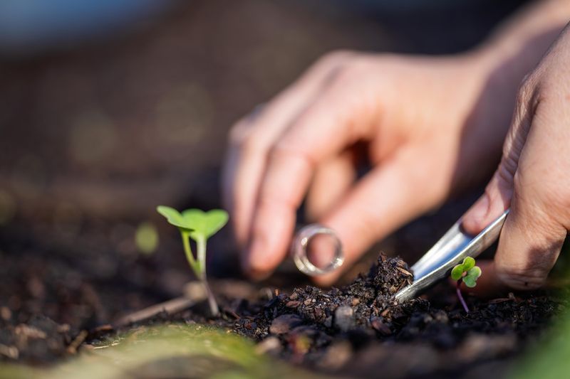 A Soil Test Now Guides Spring Plans