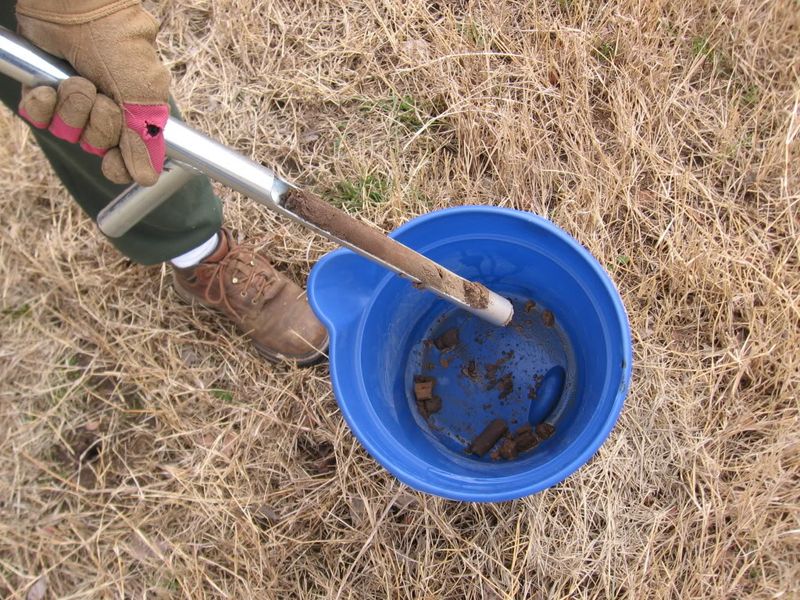 A Soil Test Shows What Else Your Lawn Needs A Soil Test Shows What Else Your Lawn Needs