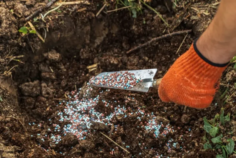 A Soil Test Shows Which Nutrients Are Actually Running Low A Soil Test Shows Which Nutrients Are Actually Running Low